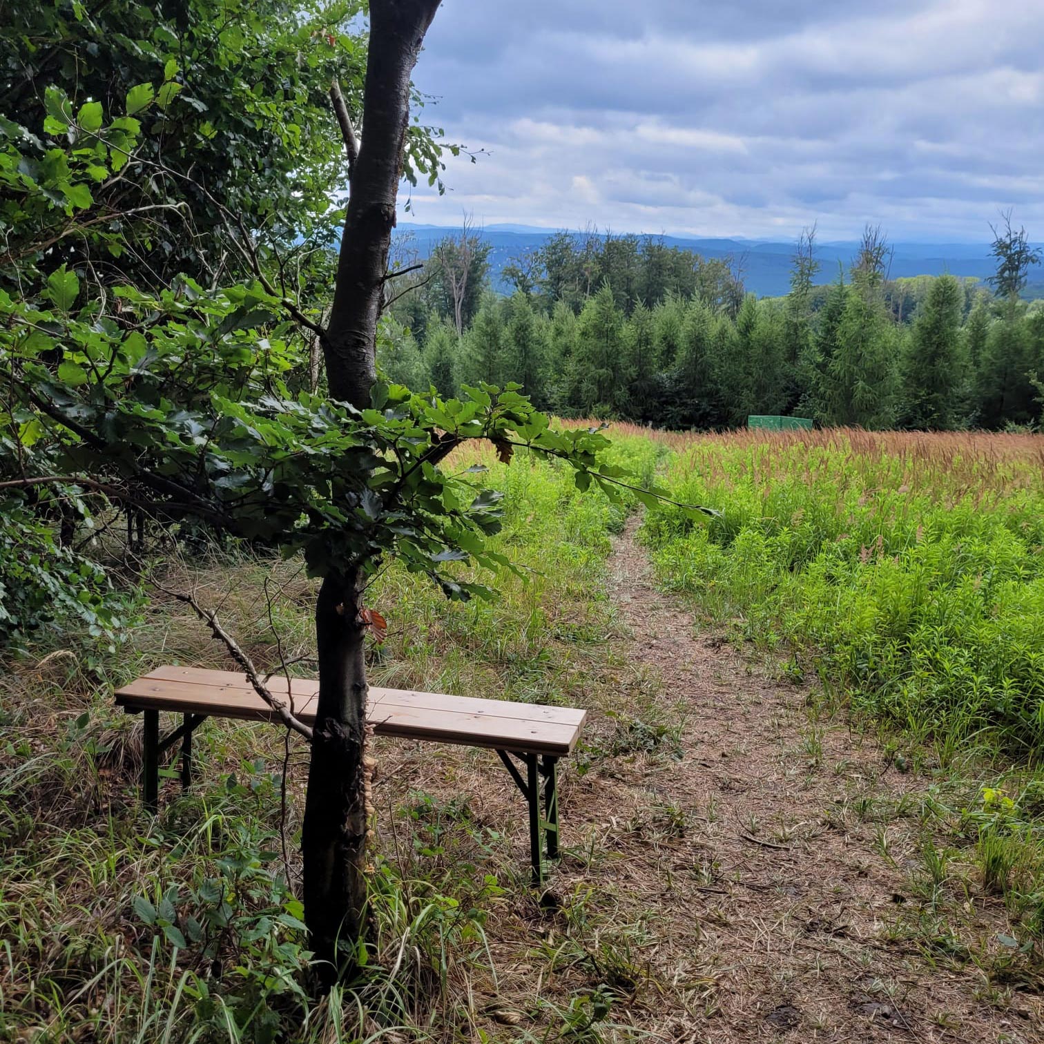 35688f88 1b6a 4ca1 b630 e49cd5b8e58a