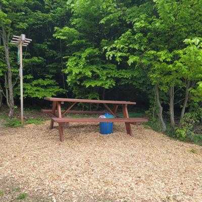 4b1a0314 8e5a 4c3f B2fc Efab25787ea4