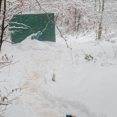 Winterwonderland am Scheiblingstein