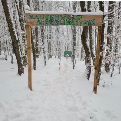 Winterwonderland am Scheiblingstein