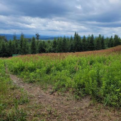 Bc9842e7 D1ee 428d 9a89 A3a6ad018d73