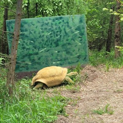 Fbd61d49 B642 4107 8592 B2269d8e39f0